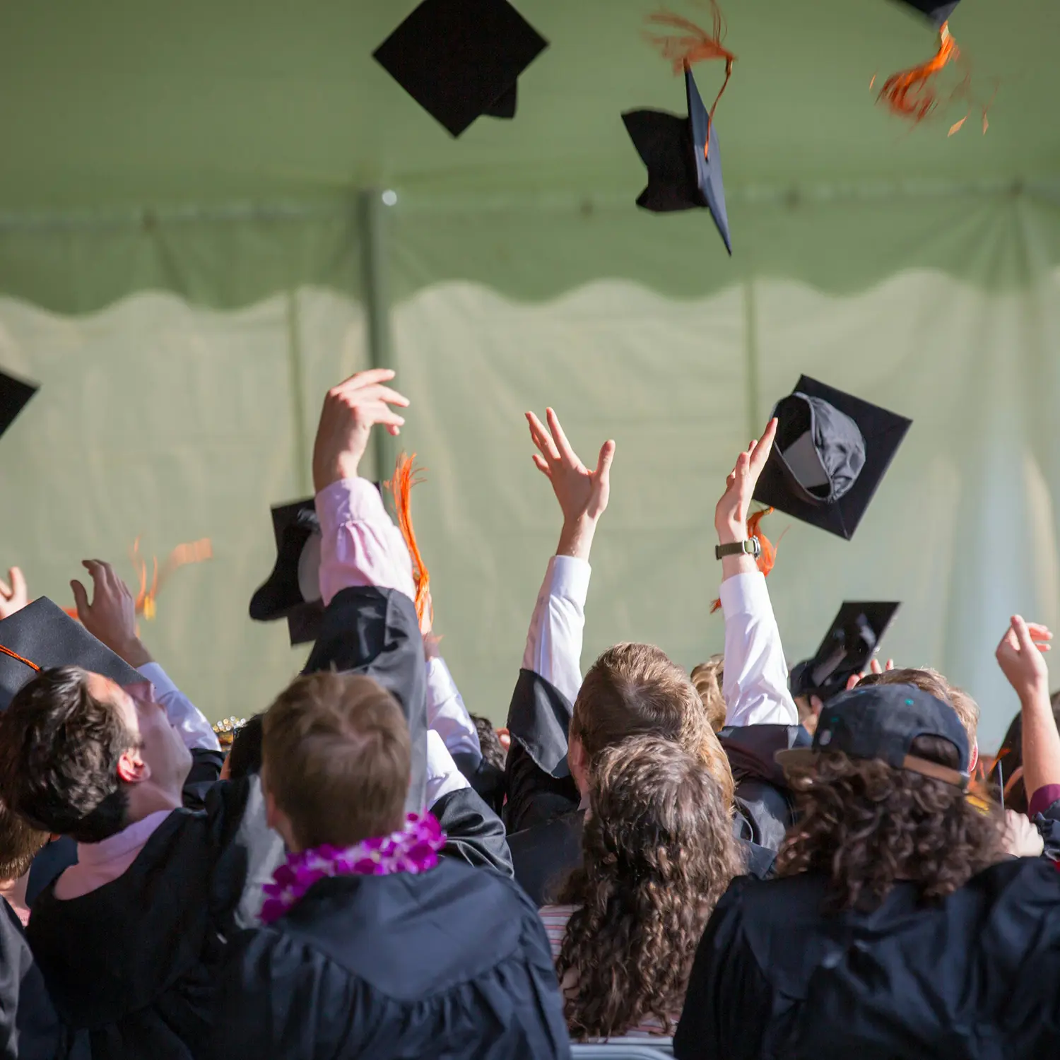 entrepreneurship-education-the-silent-crisis-why-degrees-aren't-enough-in-2026